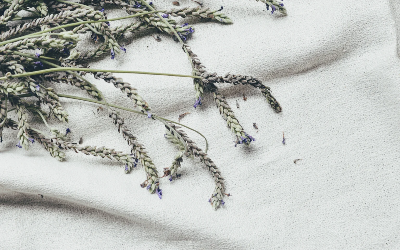 Takjes lavendel op een wit laken