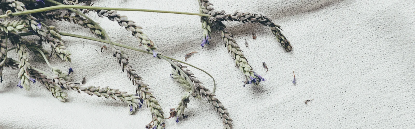 Takjes lavendel op een wit laken