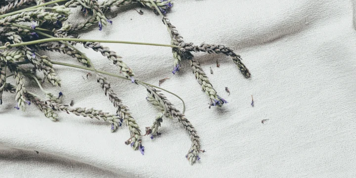 Takjes lavendel op een wit laken