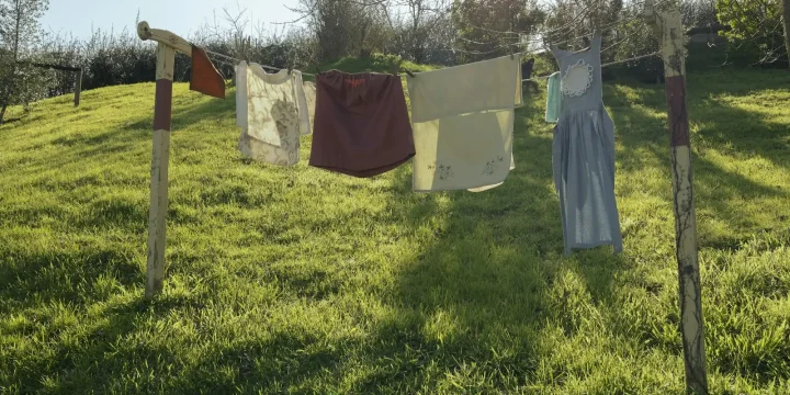 Wasgoed aan een waslijn in een tuin in de zon