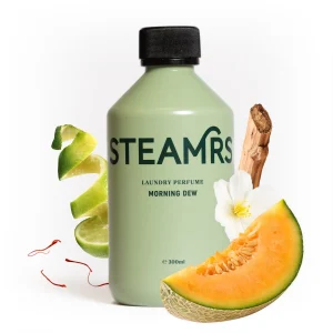 Steamrs By Dreamers Morning Dew